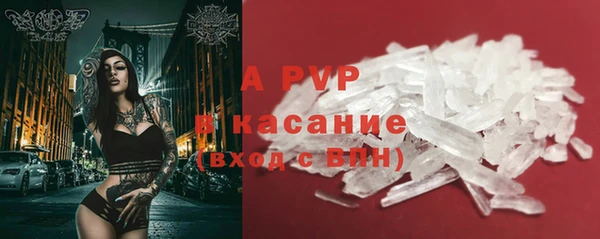 стаф Верхний Тагил
