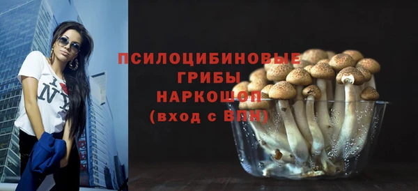 стаф Верхний Тагил
