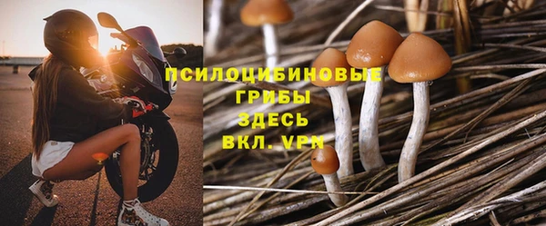 стаф Бронницы